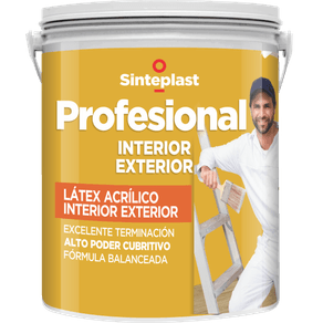 PROFESIONAL-INT-EXT